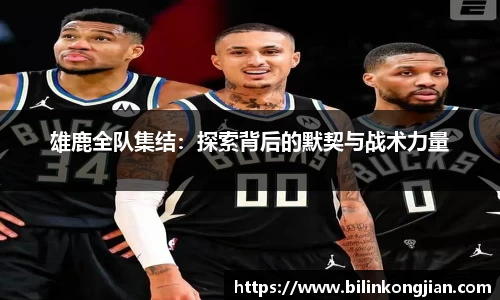 雄鹿全队集结：探索背后的默契与战术力量