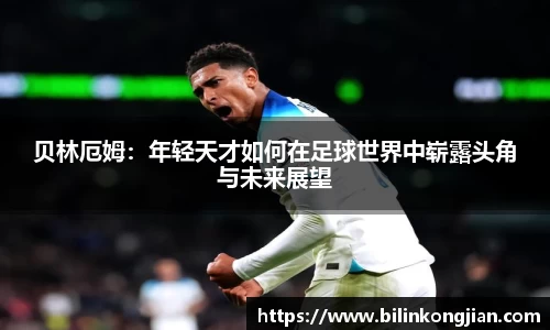 智博19有限公司