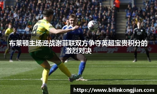 布莱顿主场迎战谢菲联双方争夺英超宝贵积分的激烈对决